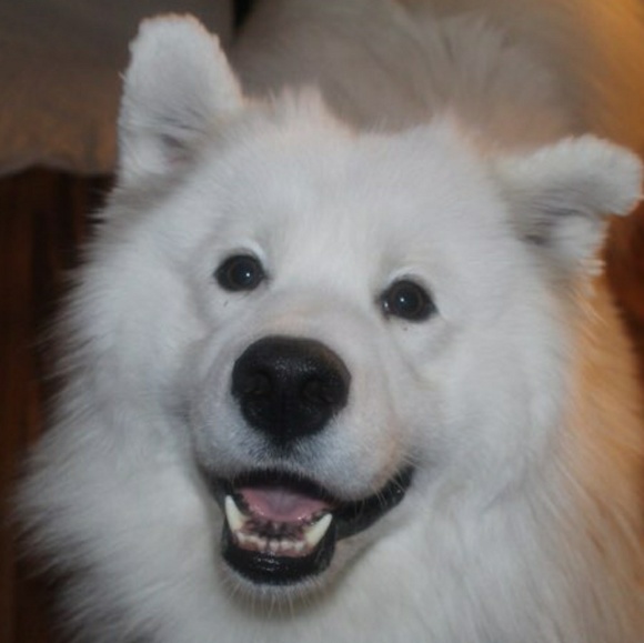 larsonsophie